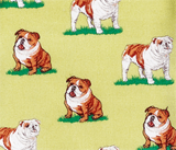 BOXERSBULLDOG.gif (21664 bytes)