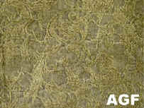 AGF_small1.jpg (5404 bytes)