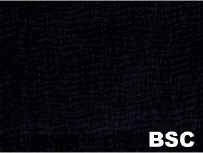 BSC_small1.jpg (2357 bytes)