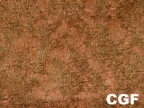 CGF_small2.jpg (5036 bytes)
