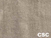 CSC_small2.jpg (3874 bytes)