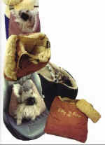 Doggie Tote2.jpg (22038 bytes)