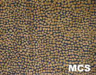 MCS_small.jpg (9574 bytes)
