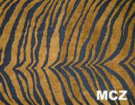 MCZ_small.jpg (8577 bytes)