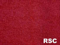 RSC_small.jpg (3772 bytes)