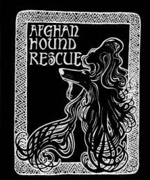 SmallBlackShirt Afgha#EA83F.jpg (27420 bytes)